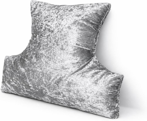Orthopaedic back support - back,